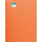 Aktenmappe A4+ Cspan 400g oran