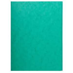 Exacompta Aktenmappe 24x32 Karton gn