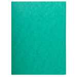 Aktenmappe A4+ Cspan 400g gn