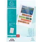 Exacompta Aktensichth PP genarbt 50 St trans