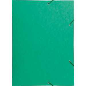 Exacompta Sammelmappe Manila grün EXACOMPTA 59515E A3