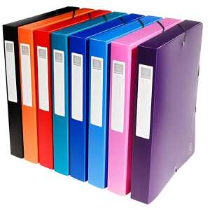 Exacompta Archivbox Opak PP R40mm sortiert