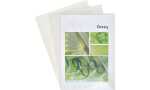 Exacompta Aktensicht A4 PVC gl 130µ 100St kr