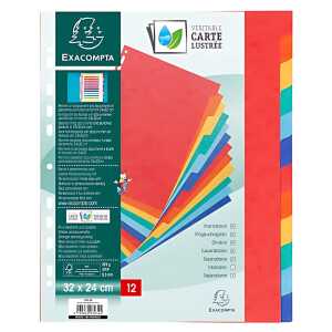 Exacompta Regis A4 320x240 Manila farb. 12tlg