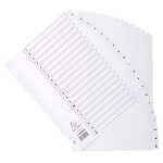 Exacompta NLH Exacompta Register Karton A4 20tlg A