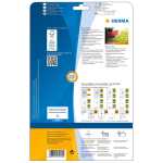 Neonetiketten A4, Ø 60 mm, rund, leuchtgrün, permanent haftend