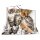 Herma SAMMELMAPPE A3 PP TIERE KATZEN