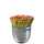 Staedtler Blumentopf Noris HB 144ST 100% PEFC