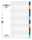 Durable Ordnerregister A4 Überbreite 1 farbige beschriftbare Taben