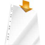 Durable Prospekthülle A4 tr 100St Glasklar im SB-Beutel