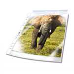 Durable Prospekthülle A4 tr 100St Glasklar im SB-Beutel