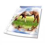 Durable Prospekthülle A4 80my tr 50St Premium gk...