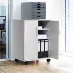 Durable Multifunktionswagen gr fahrbar 528x748x400mm 2 Türen