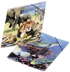 EXIT THE DRAGON, 4009212040879