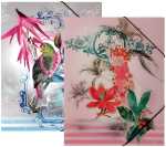 Gummizugmappe A4 Paradise Birds 3 Einschlagklappen