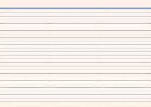 RNK Karteikarte A7 liniert 100St farblich sortiert