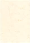 RNK Elefantenhautpapier neutral A4 110g ws