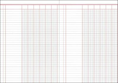 RNK Buchhaltung & Kasse, A4, Spaltenbuch mit 6 Spalten