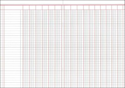 RNK Buchhaltung & Kasse, A4, Spaltenbuch mit 16 Spalten
