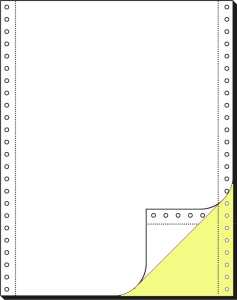 Computerpapier 12 " x 240 mm (A4 hoch) - 80/57 g/m² - 2x 1000 Blatt