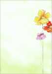 SIGEL Motiv-Papier - Bunte Blüten - grün/gelb - 90 g/m² A4 - 50 Blatt