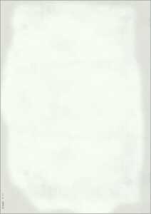 SIGEL Motiv-Papier - Menü neutral - grün - 90 g/m² - A4 - 50 Blatt