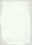 SIGEL Motiv-Papier - Menü neutral - grün - 90...