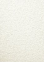 SIGEL DP243 Struktur-Papier - Papyra - champagne - 90...