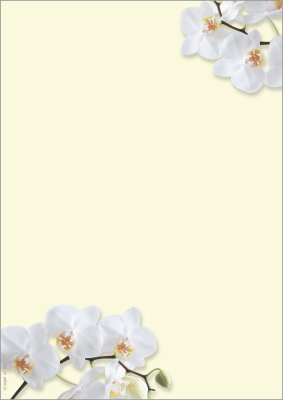 SIGEL DP904 Motiv-Papier - Orchidee - gelb - 90 g/m² - A4 - 50 Blatt