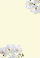 SIGEL DP904 Motiv-Papier - Orchidee - gelb - 90 g/m²...