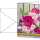 SIGEL Faltkarte Motivkarte 220g/m² farbig Colorful 10 St./Pack.