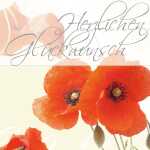 Glückwunsch-Karten - Red Poppies - rot - C6 - 10 Karten + Umschläge