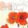 Glückwunsch-Karten - Red Poppies - rot - C6 - 10 Karten + Umschläge