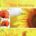 Glückwunsch-Karten - Gute Besserung - gelb - C6 10 Karten + Umschläge