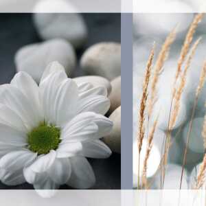 Sigel Trauer-Karte DIN lang 220g 10St DS208