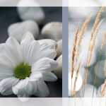 Trauer-Karten - Anteilnahme - grau - 1/3 A4 quer 10 Karten + Umschläge