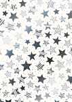 Transparentpapier Christmas Colour Sterne A4 silberfarben