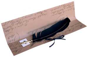 Rubinato Gänsekiel Geschenkbox Feder + Tinte schwarz