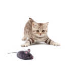 HEXBUG Mouse Cat Toy, grau 807648030310