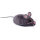 Hexbug Katzenspielzeug  Mouse Cat Toy, grau