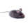 HEXBUG Mouse Cat Toy, grau 807648030310