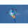 HQ Kinderdrachen Eddy Sharky 4031169149206