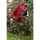 HQ Windspiel Paradise Critter Ladybug