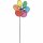 Invento Blume Paradise Flower Rainbow