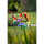 HQ Windspiel Windmill Illusion Rainbow