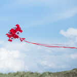 HQ Einleiner Red Baron 3D Airplane