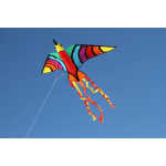 HQ Vogeldrachen Bird Tropical 4031169177407