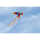 HQ Vogeldrachen Bird Tropical 4031169177407