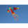 HQ Vogeldrachen Bird Tropical 4031169177407
