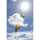 HQ Einleiner KAP Foil 5.0 4031169190901